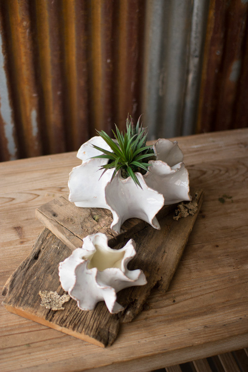 Set of 2 Organic Ceramic Planters