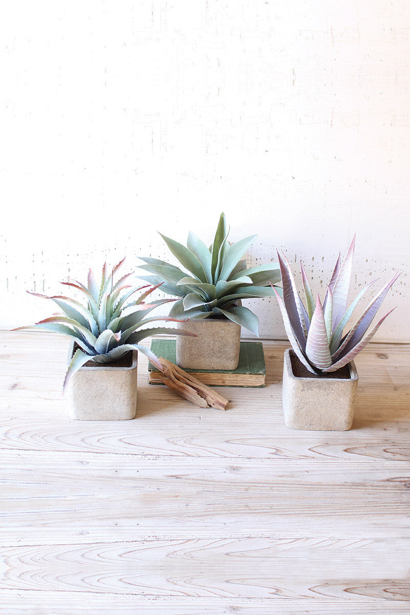 Set of 3 Large Artificial Succulents In Square Pots