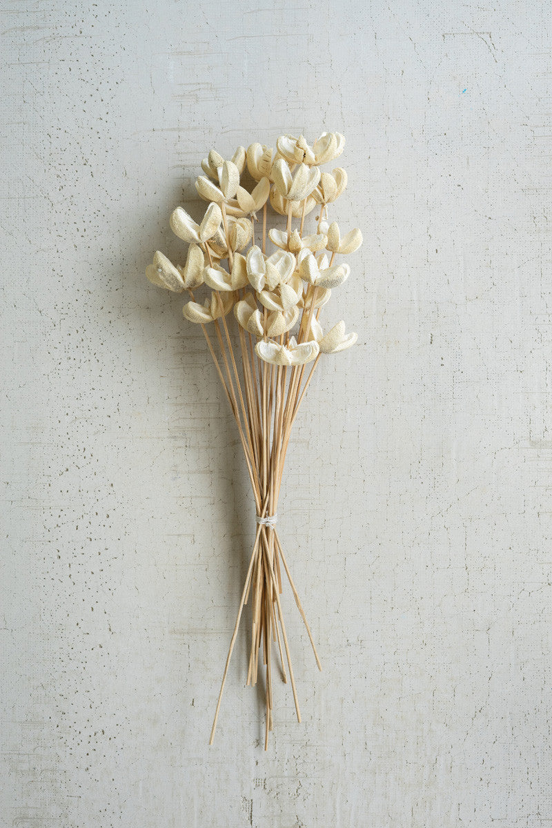 Bundle of 24 Bleached Bullet Flowers on Stems