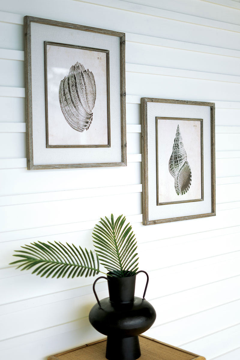 Two Framed Black and White Shell Prints