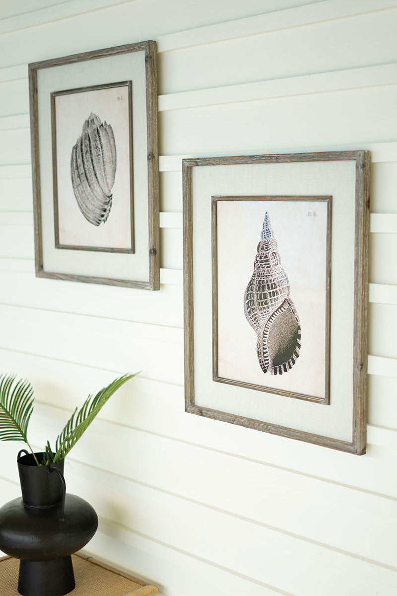 Two Framed Black and White Shell Prints