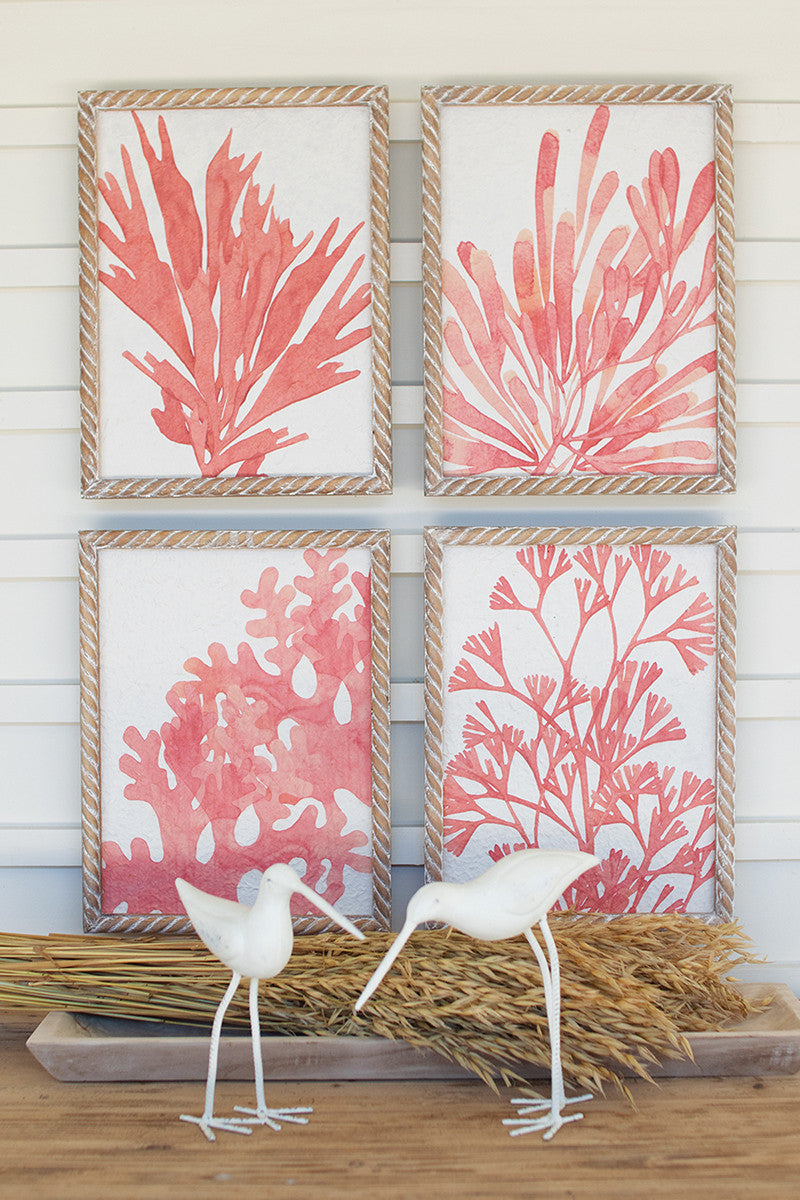 Set of Four Coral Prints With Wooden Frames